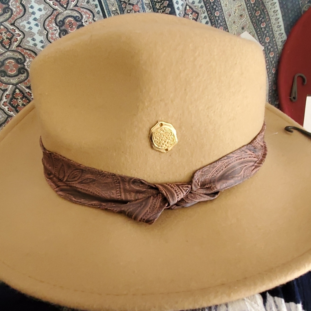 Broad Rim Hat - Picture 3 of 7